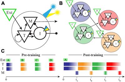 Optogenetic manipulation of inhibitory interneurons can be used to validate a model of spatiotemporal sequence learning